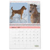 Stirling Irish Terriers-kalender 2023 Kalender (Feb 2027)