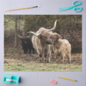 Stirling Skye Tissuepapier (Craft)