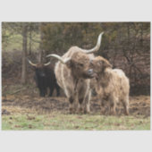 Stirling Skye Tissuepapier (Voorkant)