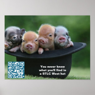STLC West Hoed Poster