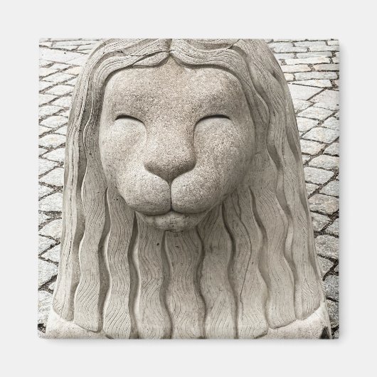 Stockholm Lion Statue Zweden Foto Magneet (Voorkant)