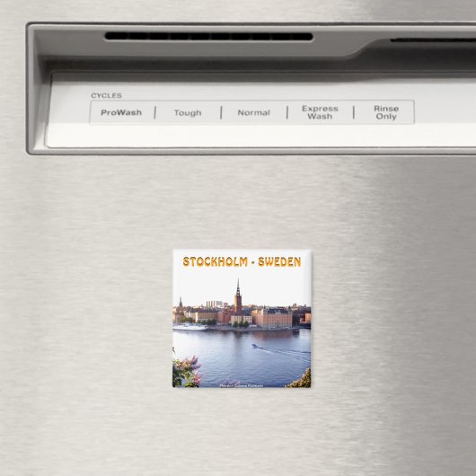 Stockholm - Zweden (Mojisola A Gbadamosi) Magneet (Insitu (Vaatwasser))