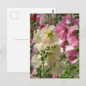 Stockrozen: Japan Briefkaart (Voorkant / Achterkant)