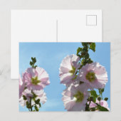 Stockrozen: Japan Briefkaart (Voorkant / Achterkant)