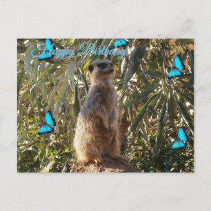 Stockstertje En Blauwe Vlinders, Verjaardagsansich Briefkaart