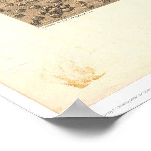 Stockton, CA Panoramic Map 1870 (1667A) - Ongerest Poster (Hoek)