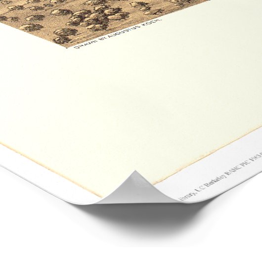 Stockton, CA Panoramic Map 1870 (1667A) - teruggez Poster (Hoek)