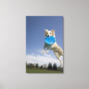 Stockton, Californië, VS Canvas Afdruk