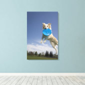 Stockton, Californië, VS Canvas Afdruk (Insitu (Houten vloer))