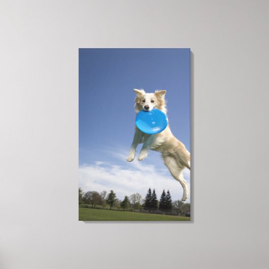 Stockton, Californië, VS Canvas Afdruk (Voorkant)