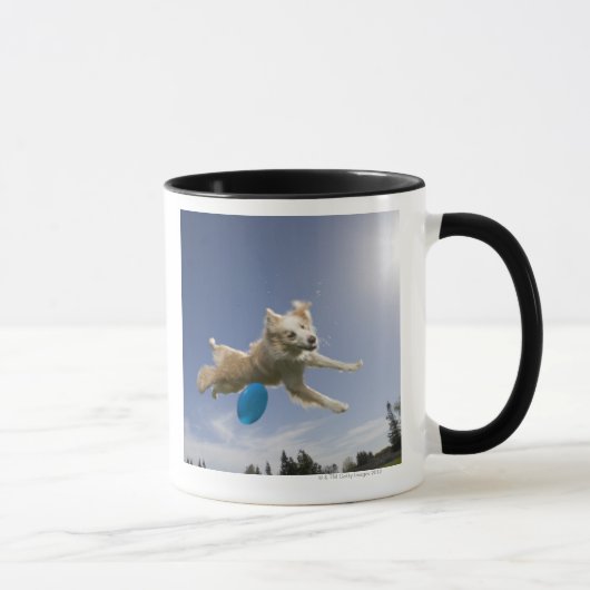 Stockton, Californië, VS Mok (Rechts)