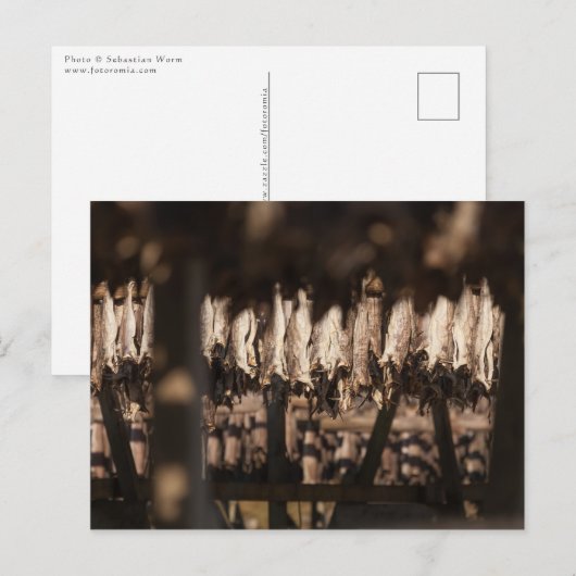 Stockvis Lofoten-eilanden Briefkaart (Voorkant / Achterkant)