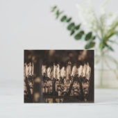 Stockvis Lofoten-eilanden Briefkaart (Staand voorkant)