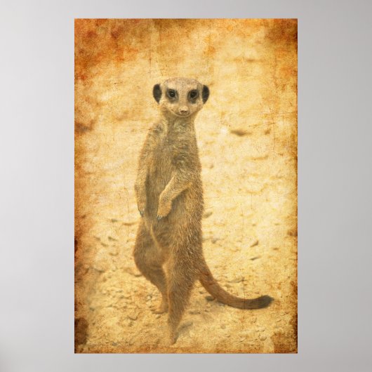 Stockwaakzame stokstaartje poster (Voorkant)