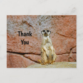 Stockwildfoto stokstaartje bedankt briefkaart