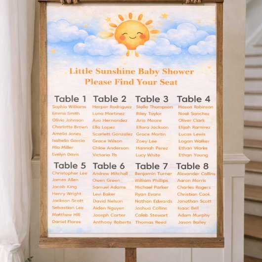 Stoelindeling baby shower feestdecoratie poster