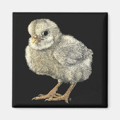 "Stoere chick" magneet (Voorkant)