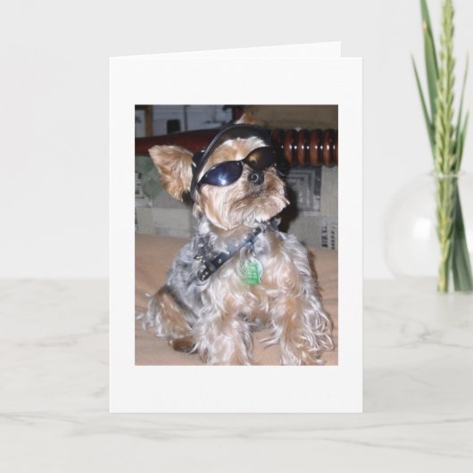 stoere hond kaart (Voorkant)