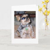 stoere hond kaart (Gele Bloem)