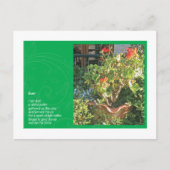 Stof Briefkaart (Voorkant)