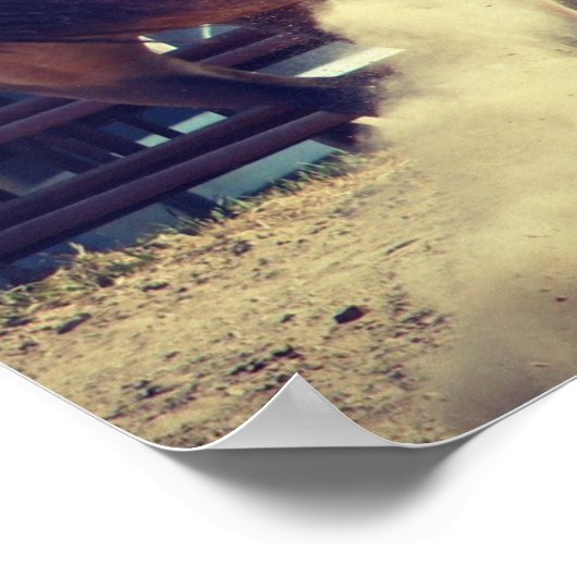 Stof opknappen poster (Hoek)