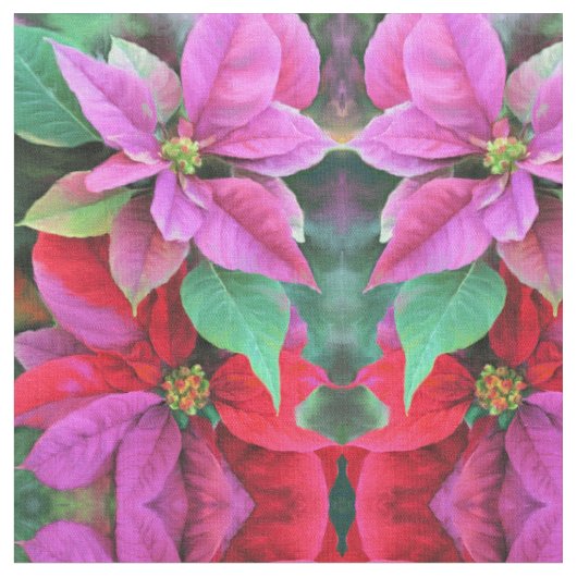 Stof - Roze/Rode Poinsettias (Close Up)