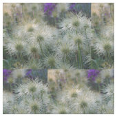 Stof van blokjes van Pasque Flower Seed (Close Up)