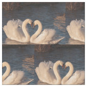 Stof van swans en liefde (Close Up)
