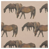 Stof voor graaspaarden (Swatch)