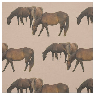 Stof voor graaspaarden