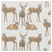 Stof voor White Tailing Deer Family (Close Up)