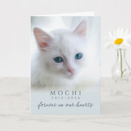 Stofblauw Voor Altijd In Onze Hartjes Kat Herdenki Kaart