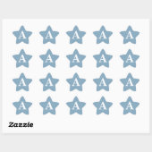 Stofbruine Blauwe Witte Monogrammen Eenvoudige Bru Ster Sticker (Vel)