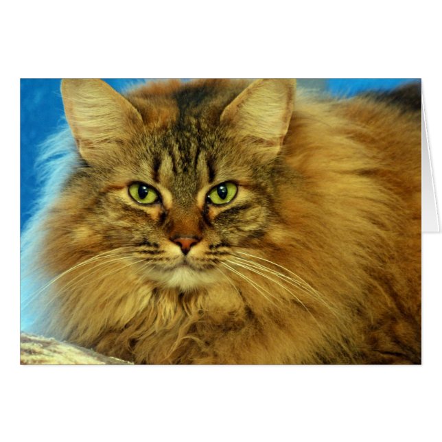 Stoffen (Voorkant Horizontaal)