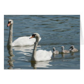 Stoffen en slangen (Voorkant Horizontaal)