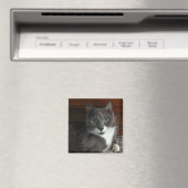 Stoffig Magneet (Insitu (Vaatwasser))