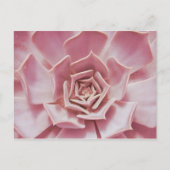 Stoffig Roos Roze Succulent Southwest Desert Plant Briefkaart (Voorkant)