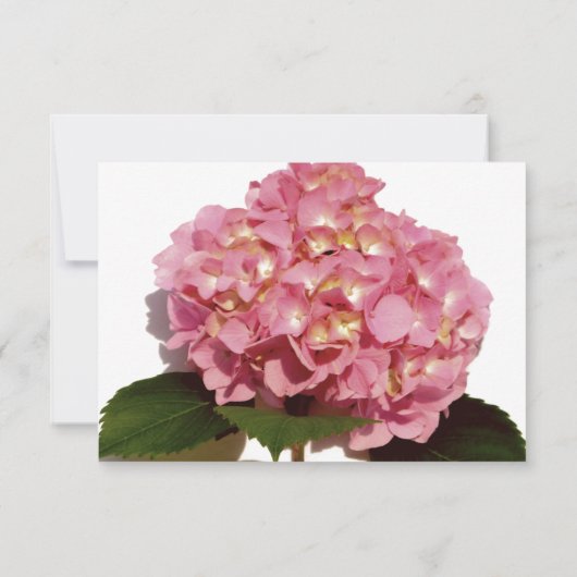 Stoffig roze bloemig Roos hortensia Save The Date (Achterkant)