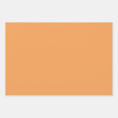 Stoffig Sinaasappel Roze Bloemen Elegant Modern Pa Inpakpapier Vel (Voorkant 3)