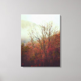Stoffige nevelige dag in Georgia Canvas Afdruk