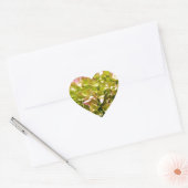 Stoffige roze gele bloemen bloem hortensia's hart sticker (Envelop)