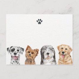 Stofhonden Briefkaart