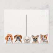 Stofhonden Briefkaart (Achterkant)