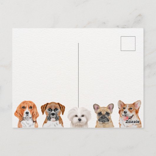 Stofhonden Briefkaart (Achterkant)