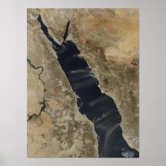 Stofloodsen over het Rode Zee Poster (Voorkant)