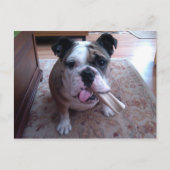 Stogie Briefkaart (Voorkant)