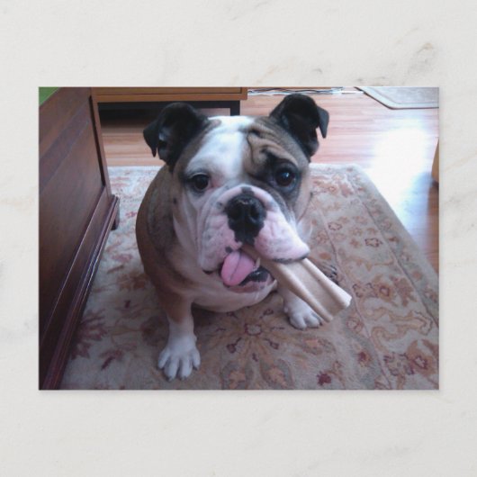 Stogie Briefkaart (Voorkant)