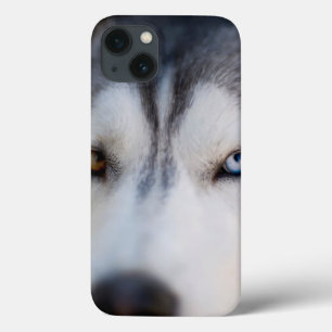 Stoic Gaze van de Alaskan Malamute Case-Mate iPhone Case