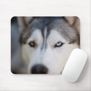 Stoic Gaze van de Alaskan Malamute Muismat
