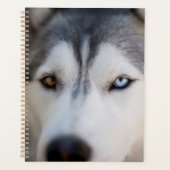 Stoic Gaze van de Alaskan Malamute Planner (Voorkant)